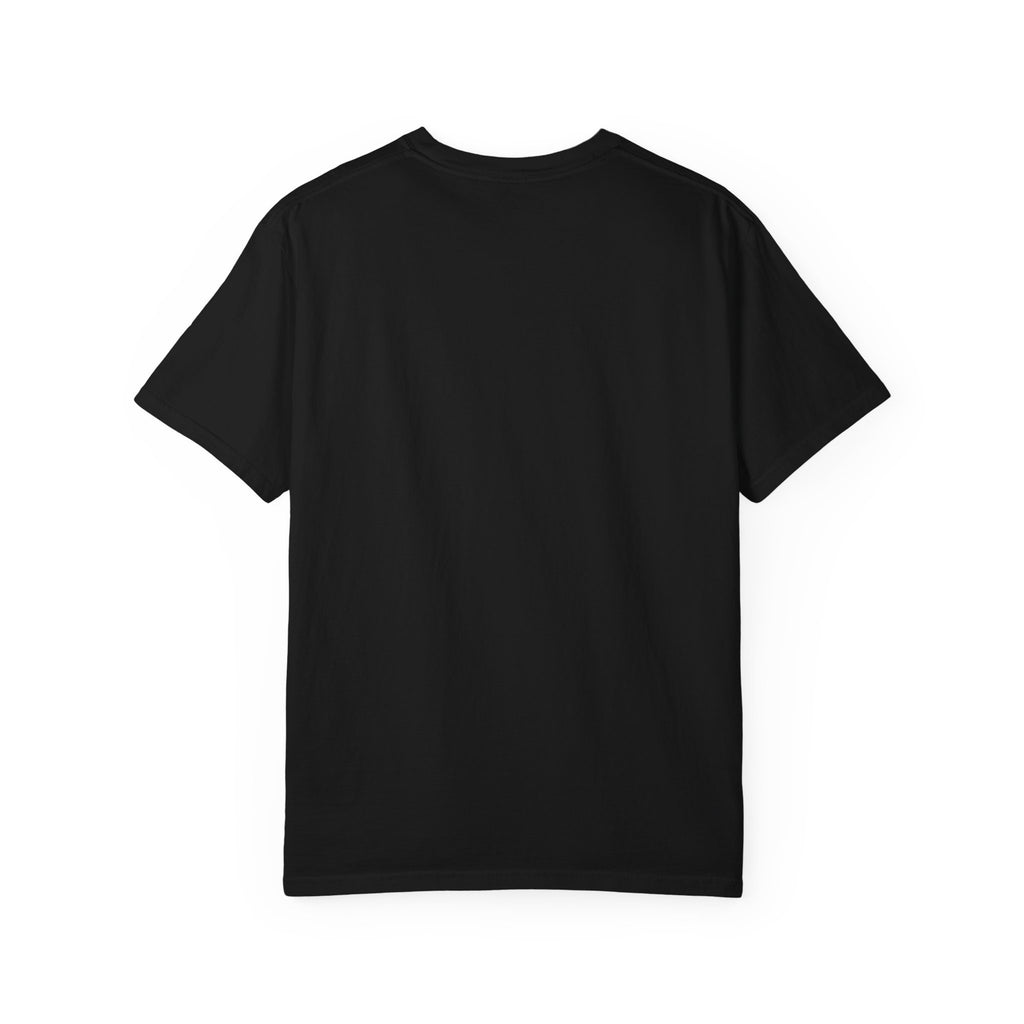 Fly Fishing Flys T-Shirt